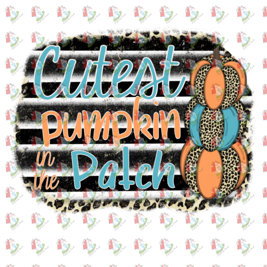 7167 Cutest pumpkin in the patch